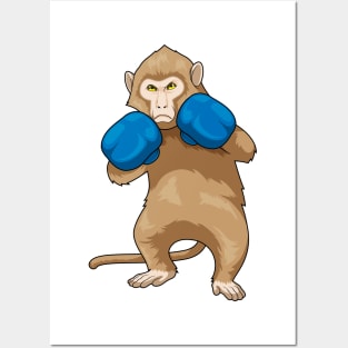 Monkey Boxer Boxing gloves Sports Posters and Art